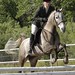 Susan Seligman Photo 15