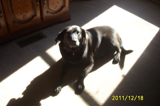 John Dole Photo 6