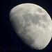 Maria Moon Photo 41