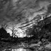 Jim Winters Photo 24