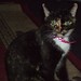 Amy Stroud Photo 19