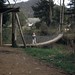 Jillian Morse Photo 7