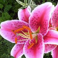 Barbara Welker Photo 14