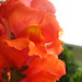 Kathleen Hopp Photo 7