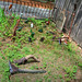 Clark Tuttle Photo 6