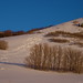 Sean Lange Photo 22