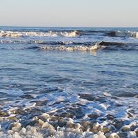 Julia Mcclain Photo 21