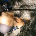 Janet Keener Photo 17