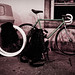 Michele Alley Photo 16