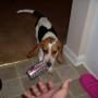 David Eddy Photo 7