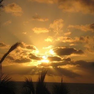 Jason Fried Photo 8