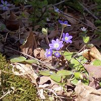 Kathy Dailey Photo 33