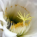 Fred Hedrick Photo 6