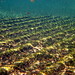 James Benfield Photo 11