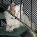 Donna Laird Photo 21