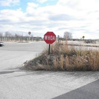 Linda Henkelman Photo 2