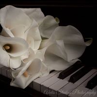 Diane Martell Photo 16