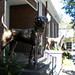 Barbara Dunn Photo 18