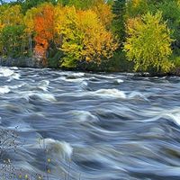 Anne Sommers Photo 10
