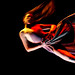 Emily Law Photo 13