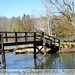 Allison Bridges Photo 18