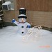 Connie Bowles Photo 19