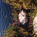 Kathryn Gage Photo 2