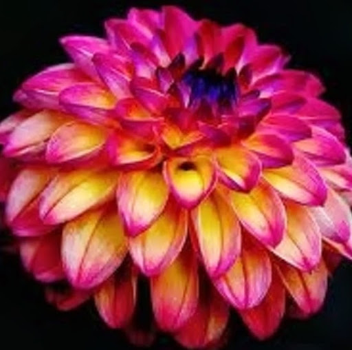 Mary Peeples Photo 4