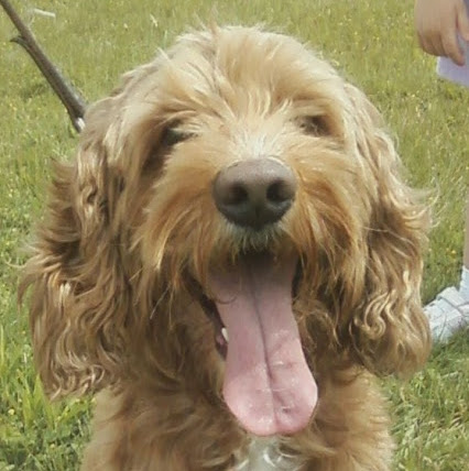 Charlie Hacker Photo 9