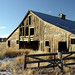 Forest Evans Photo 1