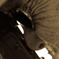Tim Sampson Photo 34