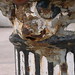 David Livingston Photo 22