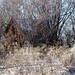 Perry Willard Photo 8