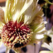 Don Do Photo 31