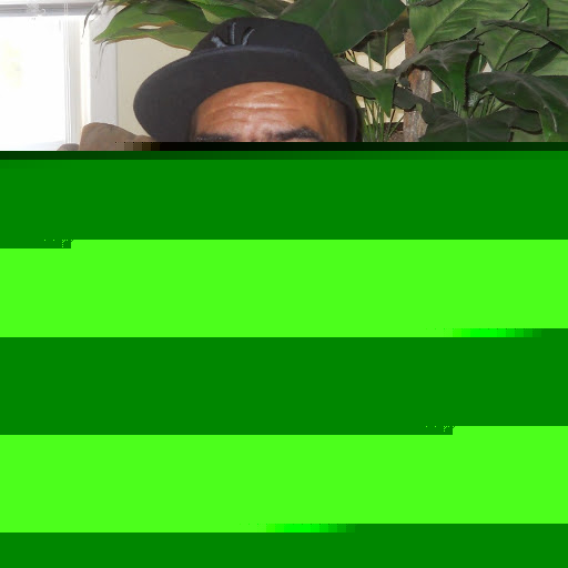 Jerome Fleming Photo 8