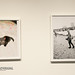 Phillip Boatwright Photo 5