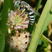 Lisa Chavez Photo 27