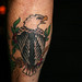 Terri Hardy Photo 9