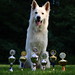 Dawn Berger Photo 17
