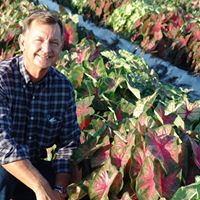 Robert Hartman Photo 38
