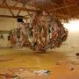 Paul Benavidez Photo 24
