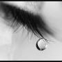 Nancy Bonilla Photo 22