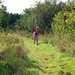 Carolyn Wood Photo 15
