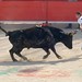 Laura Dumas Photo 19