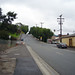 Buena Plant Photo 1