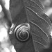 Allen Leid Photo 4