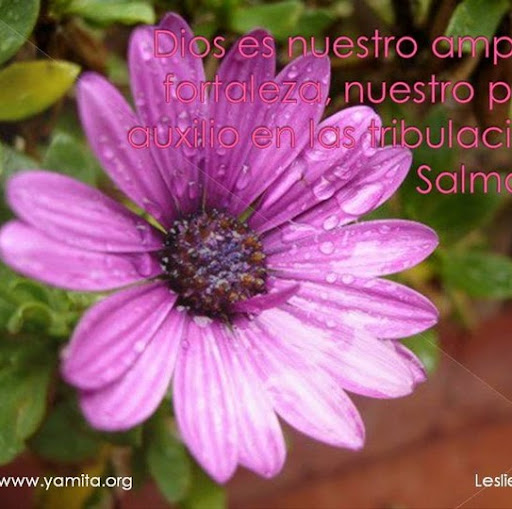 Ruth Garcia Photo 40