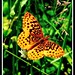 Nathaniel Higgins Photo 20