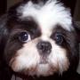 Sheila Robinson Photo 19