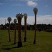 Barry Groves Photo 32